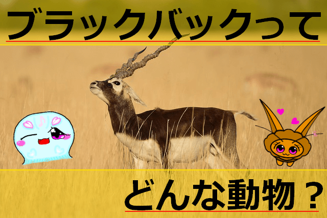 Thumbnail of post image 154